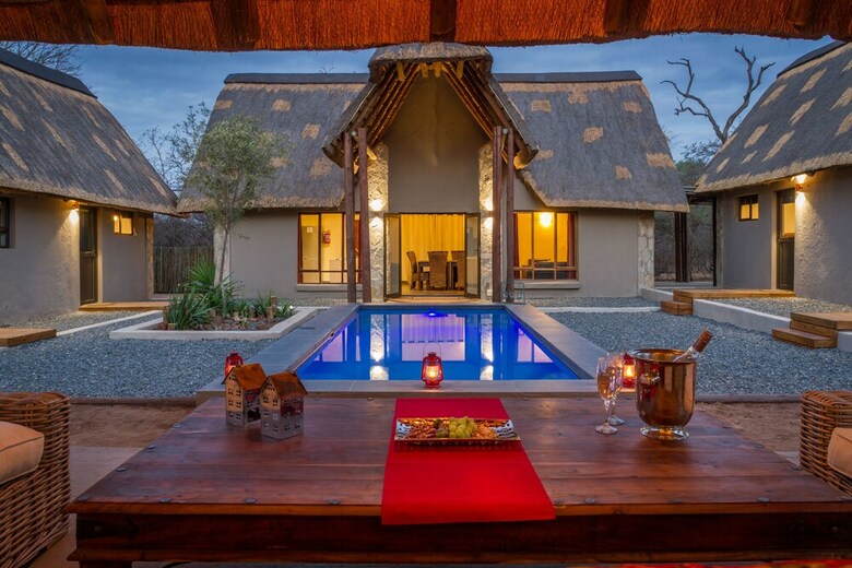 The Safarilicious Collection