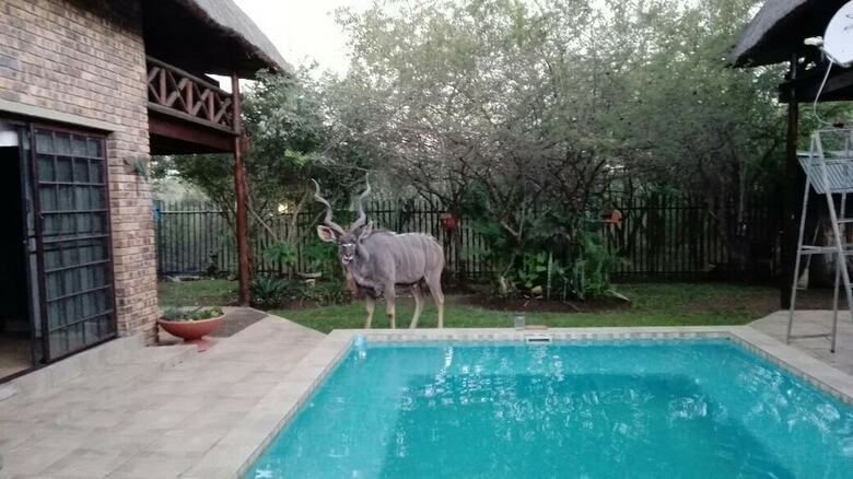 Posada Leisure Kruger Lodge