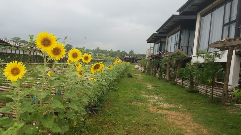 Hotel Him Doy Muang Pan