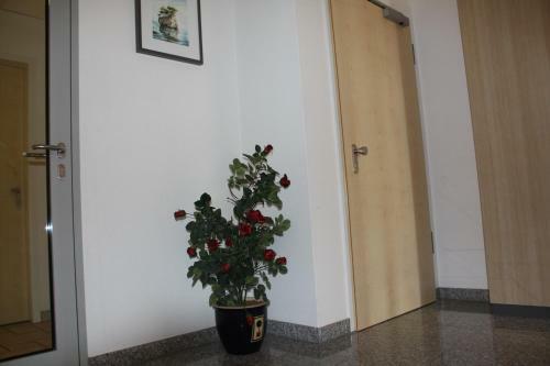 Hotel Grand Tour Cologne
