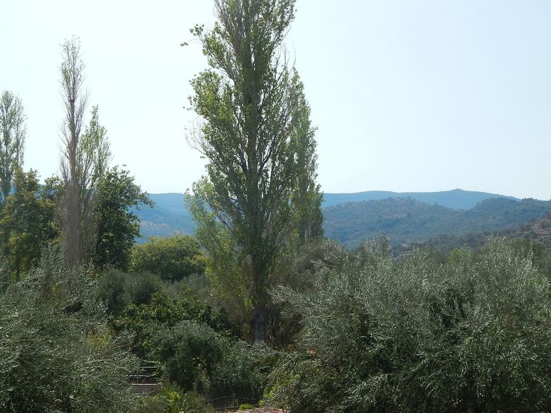 Apartamentos Anaxos Garden