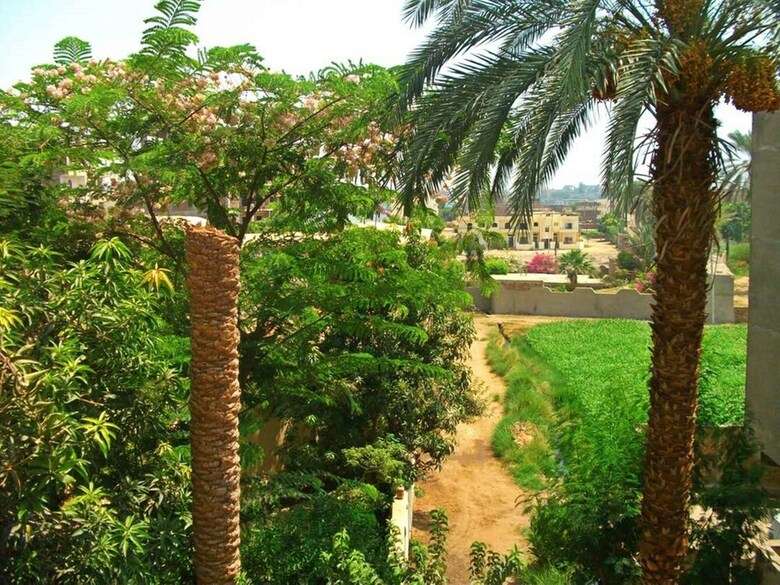 Aparthotel Farida Apartments