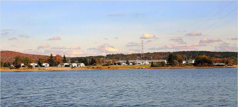 The Cove Cabins