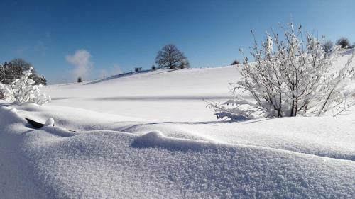 Hostal Hotel Allg�u Garni