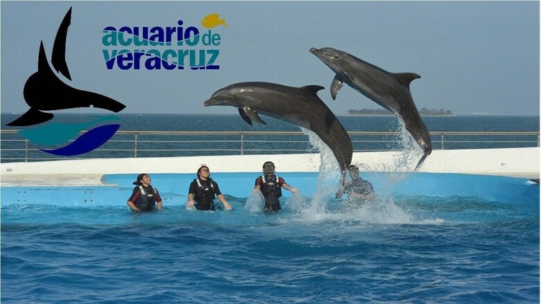Hotel B&B Boca Del Rio