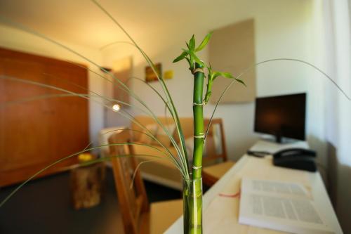 Hostal Studio 14/2