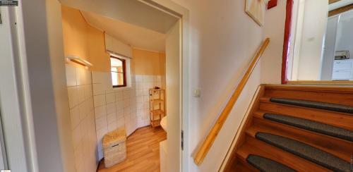 Mammut Apartments