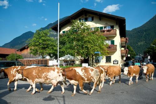 Hostal Hotel Gasthof Alter Wirt