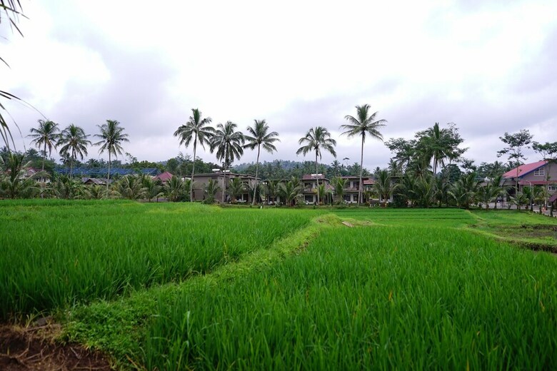 Hotel Grand Harvest Resort And Villas