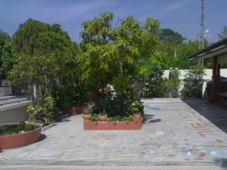 Hotel Sunflower Guest House Lopburi