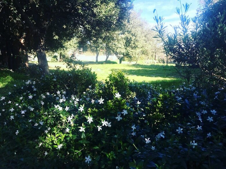 Villa Cenzina B&B
