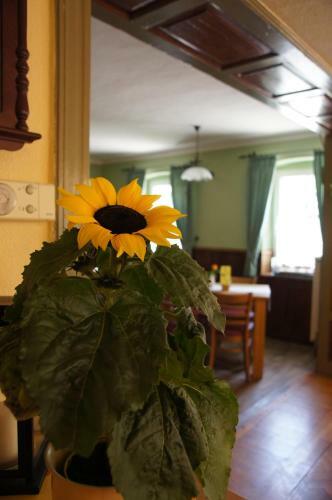 Hotel Landgasthaus M�llers Gasthof