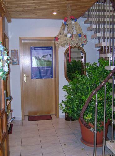 Hostal Wellnesspension Vier Napoleonslinden