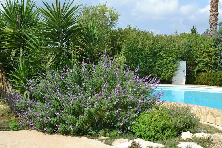 Hotel Antica Masseria Timparuci