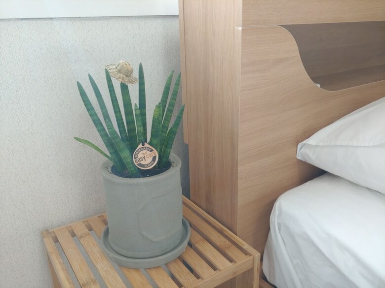 Hotel Slippers N Sippers Guesthouse