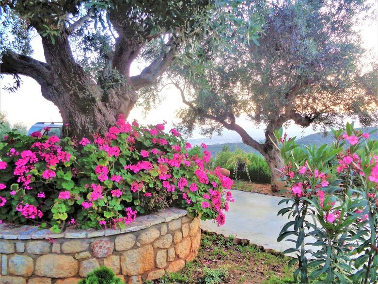 Apartamentos Menina Farm