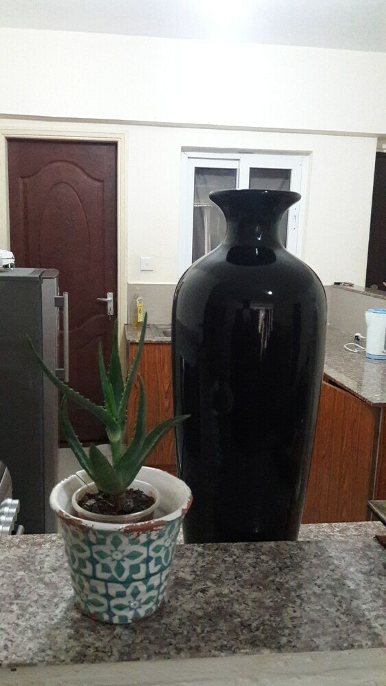 Bed & Breakfast Bethel Xperience Homestay