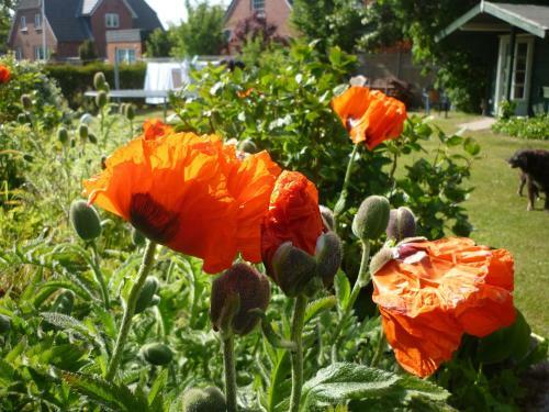 Hostal Pension Sturmm�we