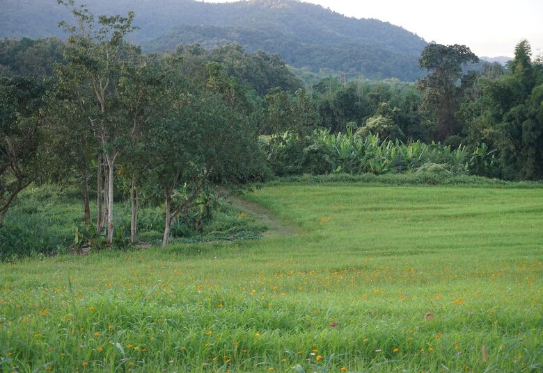 Hotel Singha Park Chiang Rai Camping