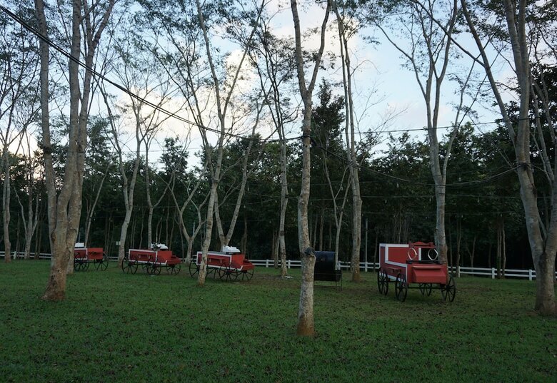 Hotel Singha Park Chiang Rai Camping