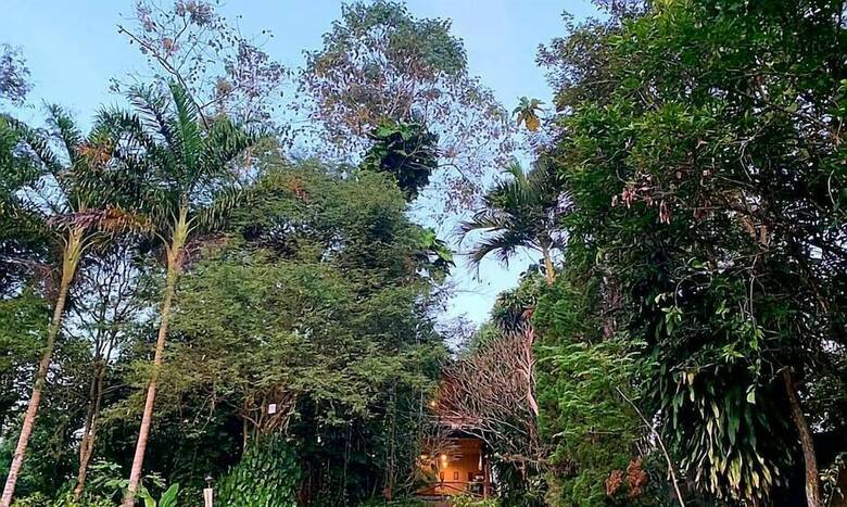 Hotel Aum Hum Homestay