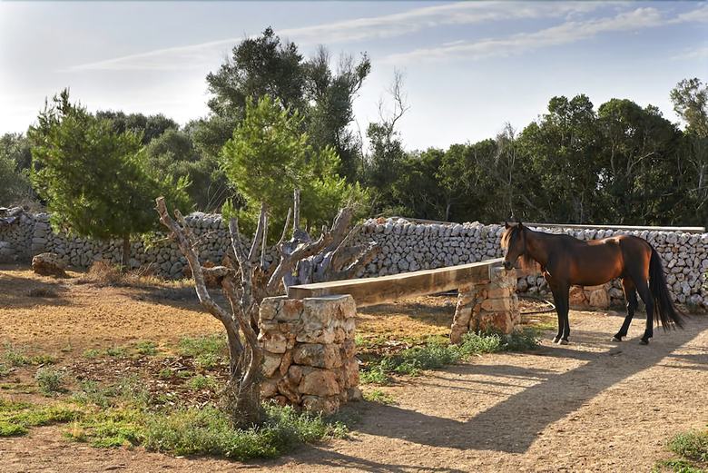 Agroturismo Biniati Des Pi