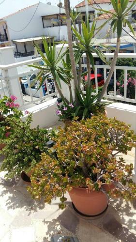 Hotel Christina Pansion- Adults Only