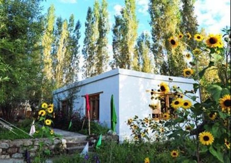 Bed & Breakfast Nubra Ethnic Camp