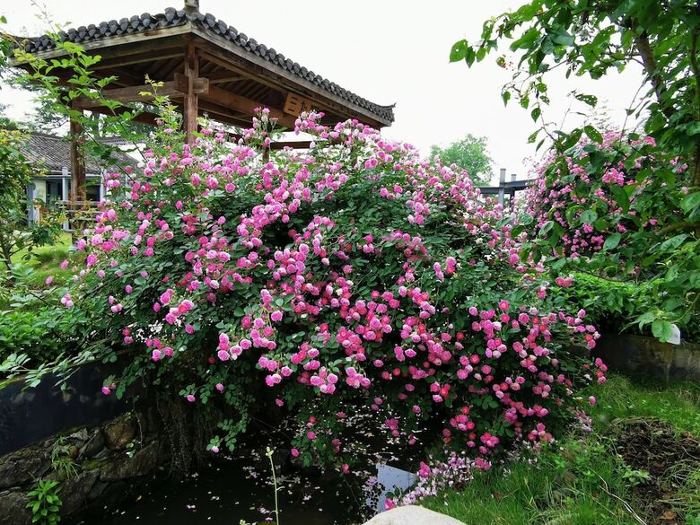 Bed & Breakfast Huangshan Huizhou Creek Villa