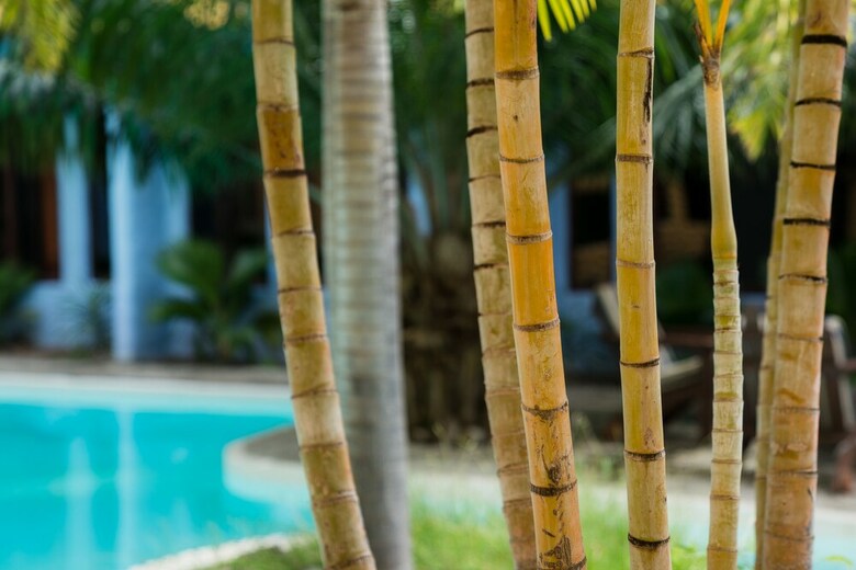 Apartamentos Condo Las Palmas