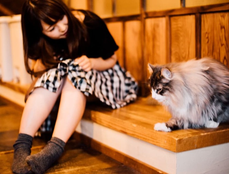 Hostal Hida Takayama Guest House Tau - Hostel