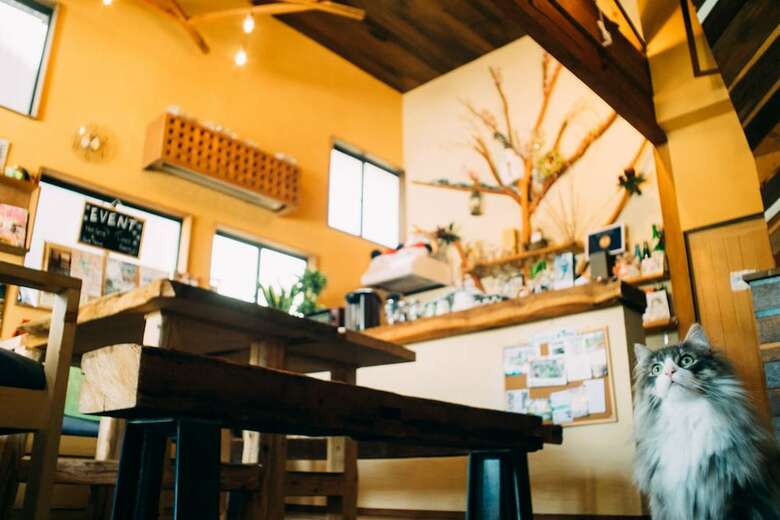 Hostal Hida Takayama Guest House Tau - Hostel