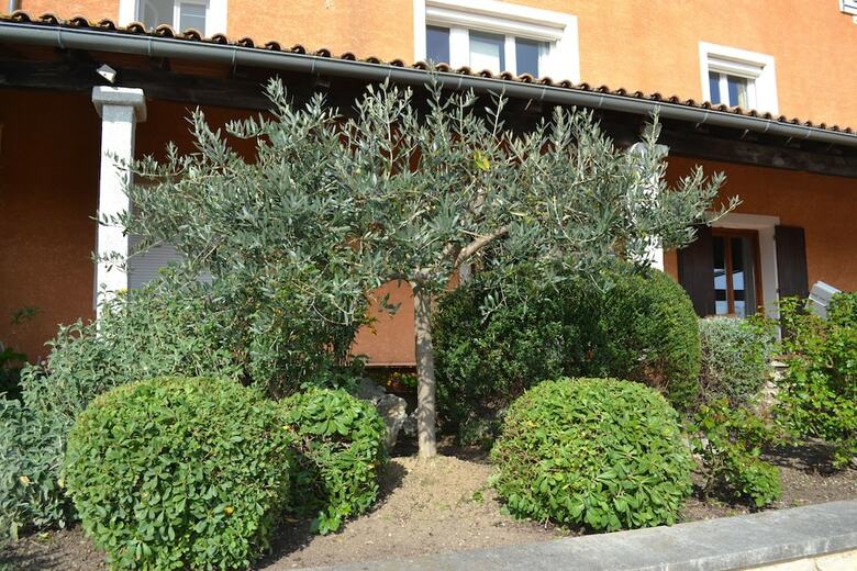 Hotel H�tel Saint Geni�s