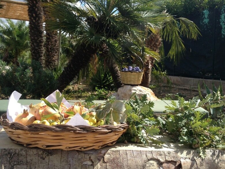 Agroturismo Casale Torre San Magno