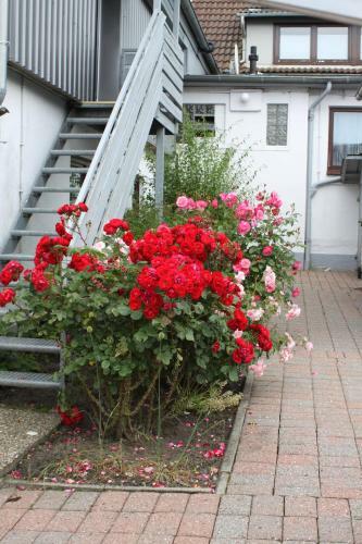 Hostal G�stehaus Hansen