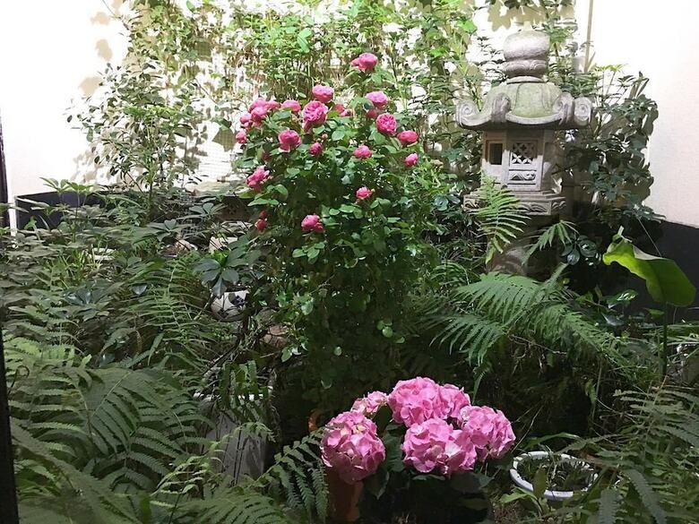 Hotel Nakayama Guesthouse