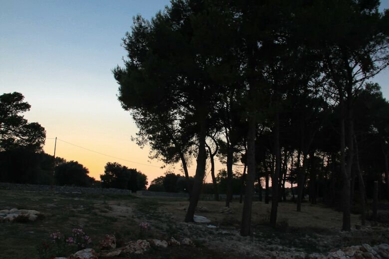 Bed & Breakfast Masseria Nuove Caselle