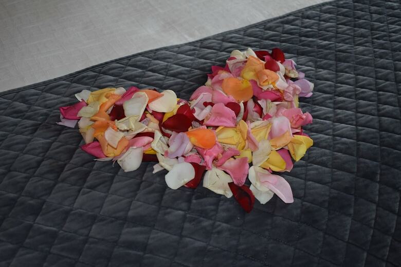 Bed & Breakfast Sapphire Shores Luxury Retreat