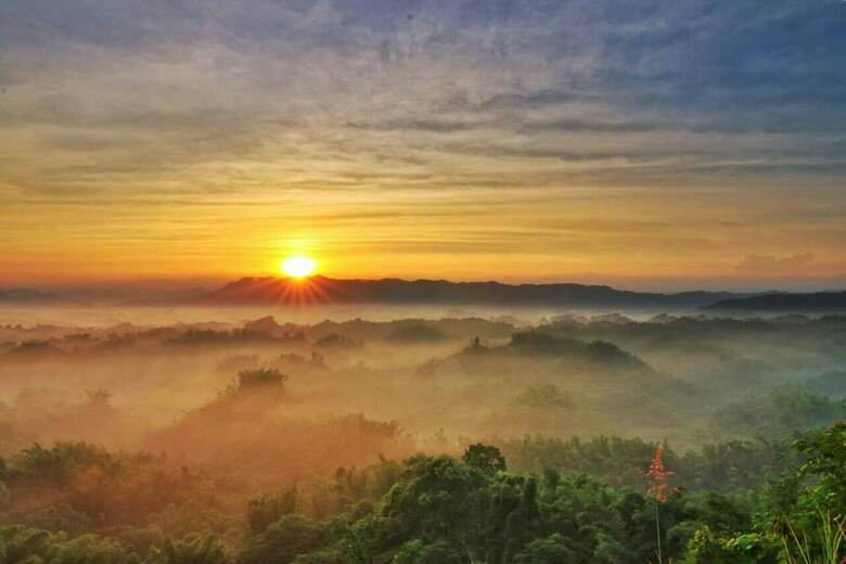 Bed & Breakfast Sunshine Farmstead