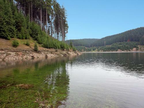 Cosy Apartment In Heubach Germany In The Forest