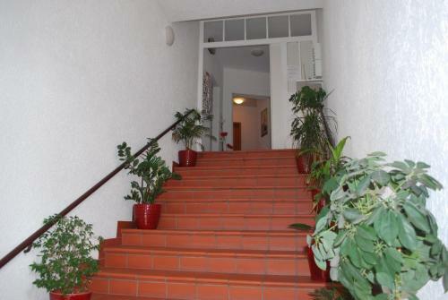 Fair Hotel Frankfurt - Nassauer Hof