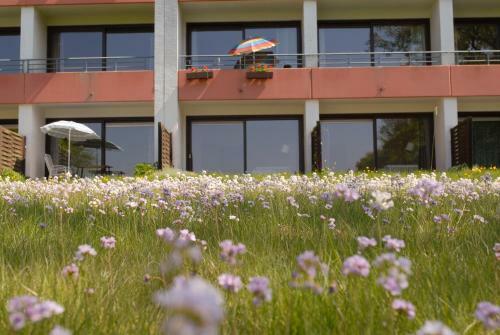 Apartamento Ferienhaus Uklei