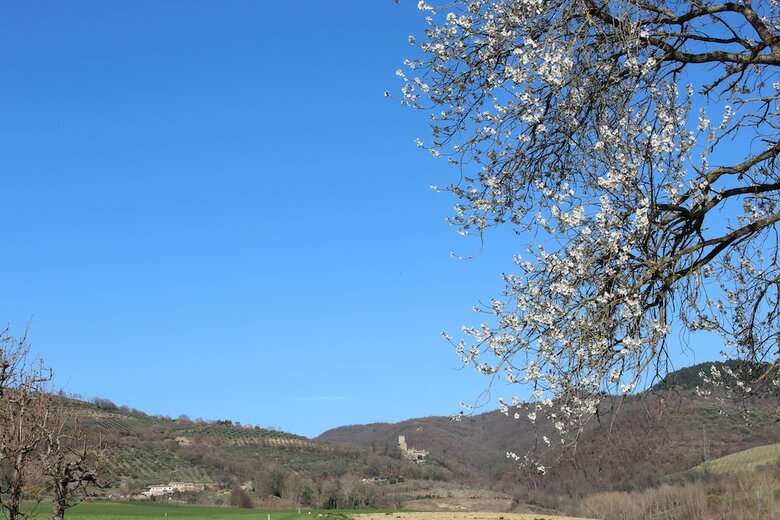 Agroturismo Fattoria Di Rigone