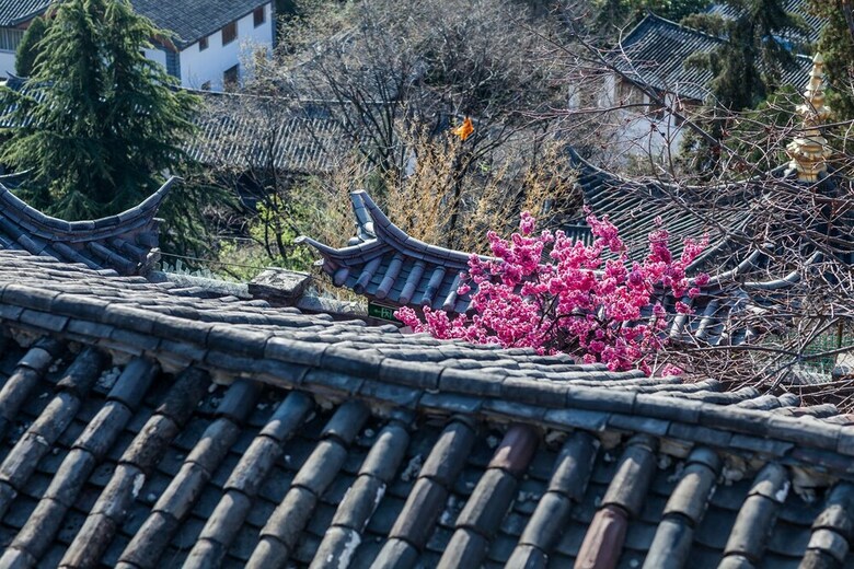 Posada Blooming Island Banshan Yuan