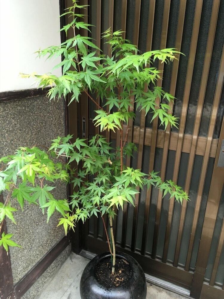 Hotel Kyoto Guest House Waon