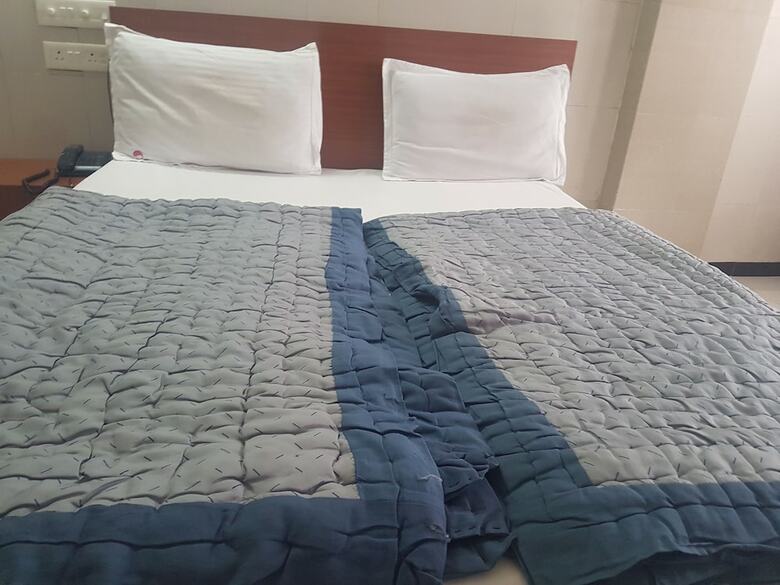 Hotel Dhruv Palace