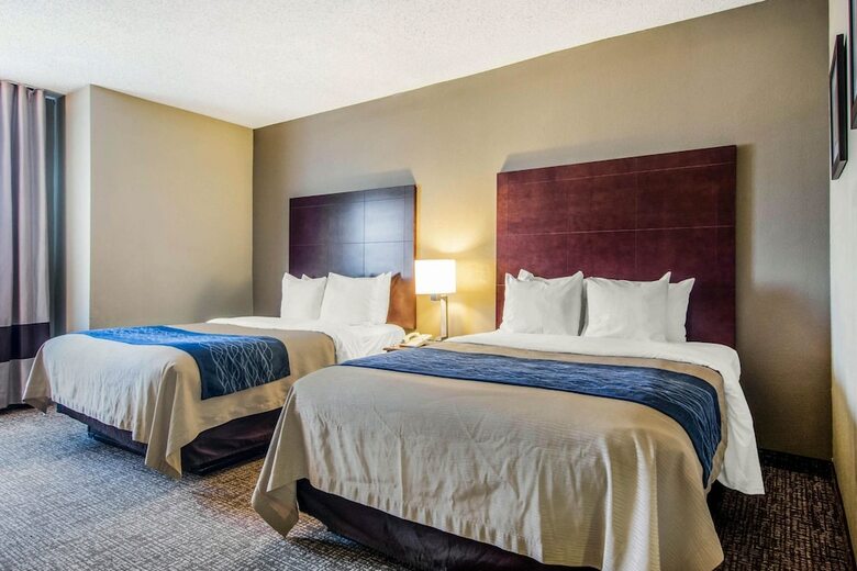 Hotel Comfort Inn Atlanta Downtown South