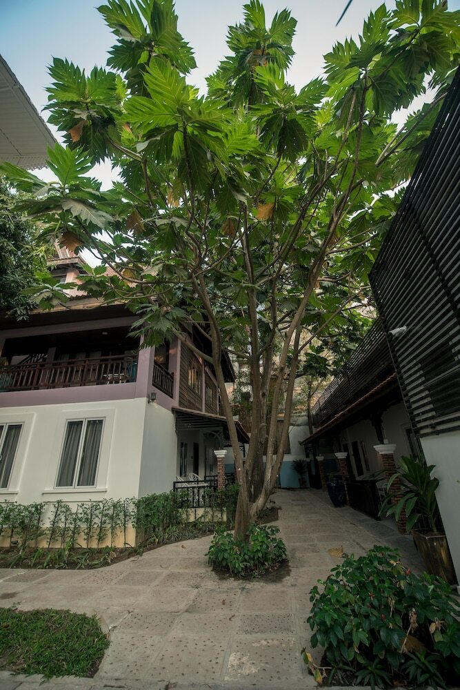 Hotel Lavender Angkor Boutique