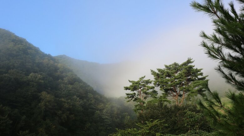 Bandibyeol Pension