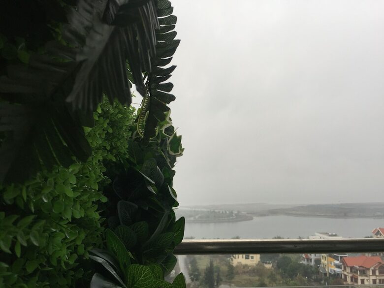 Hotel Local Homestay